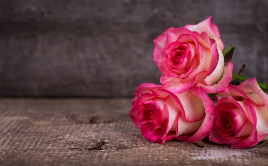 「2020-10-23」Discussion is an exchange of knowledge; argument is an exchange of ignorance.美图壁纸