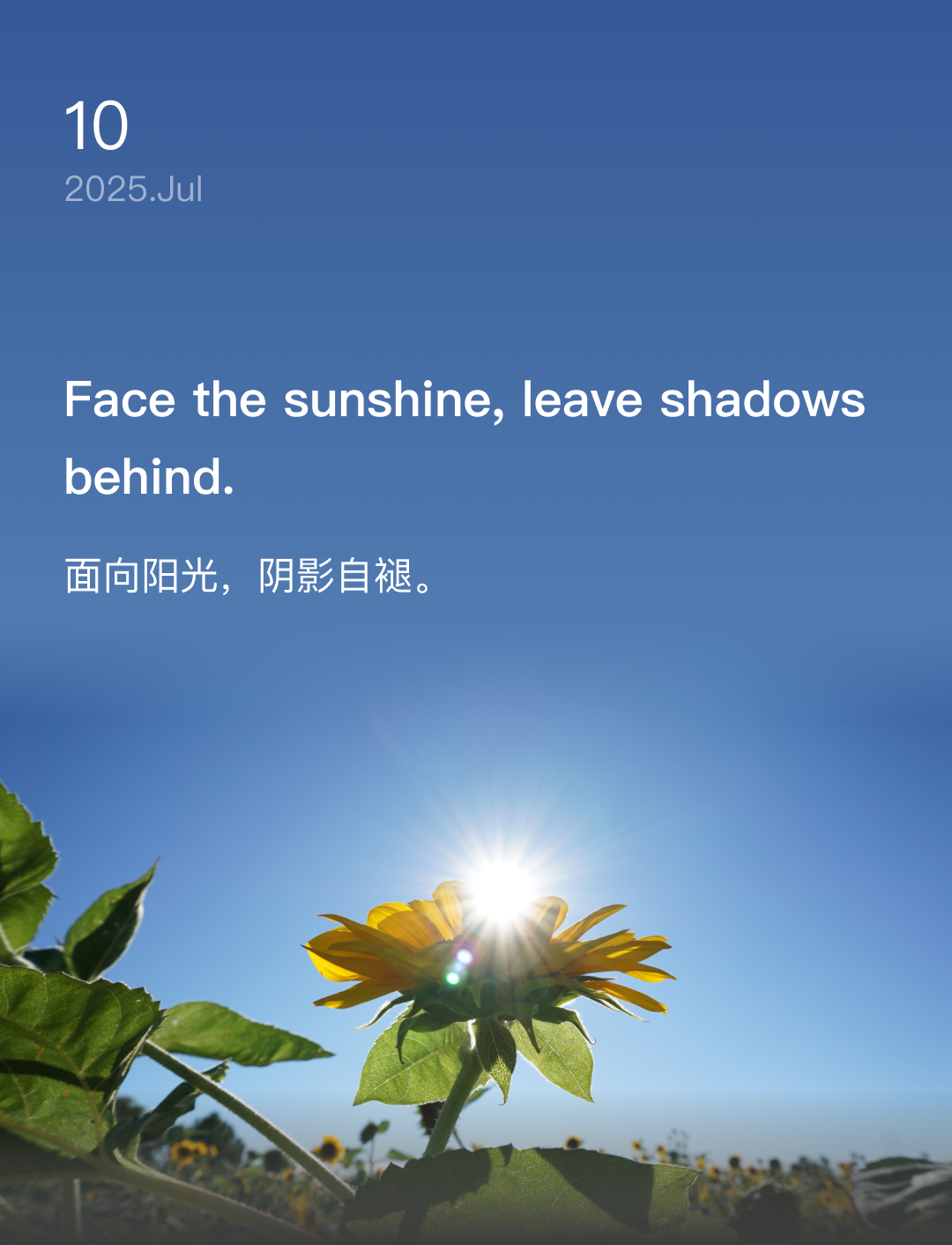 Face the sunshine, leave shadows behind.