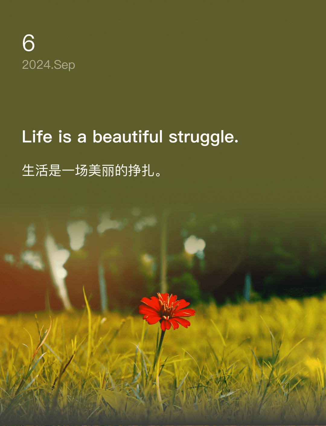 Life is a beautiful struggle.