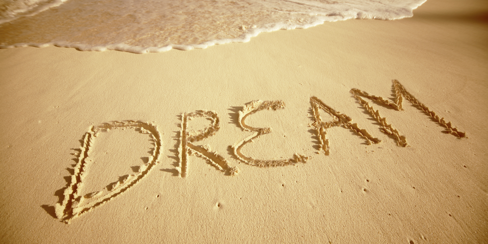 「2024-10-23」If you can dream it, you can do it.美图壁纸
