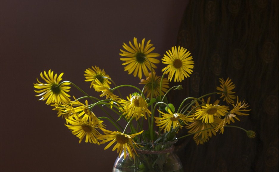 「2020-10-22」A man can be destroyed but not defeated.美图壁纸