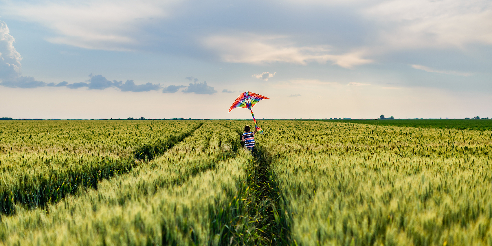 「2025-11-13」Seek purpose. Don't limit dreams.美图壁纸