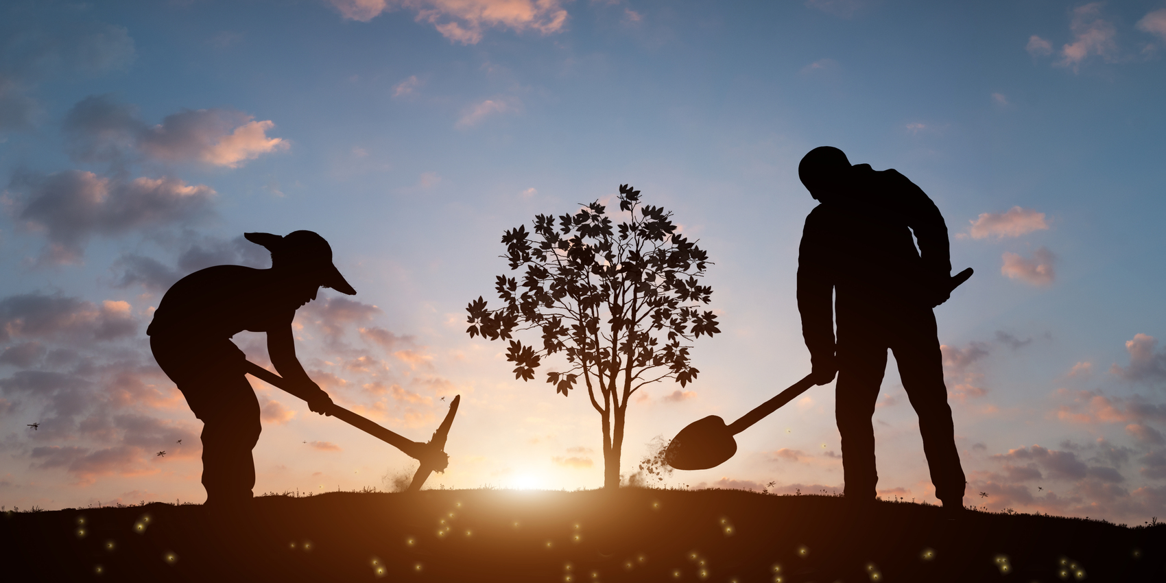 「2025-02-19」The best time to plant a tree was 10 years ago. The second best time is now.美图壁纸
