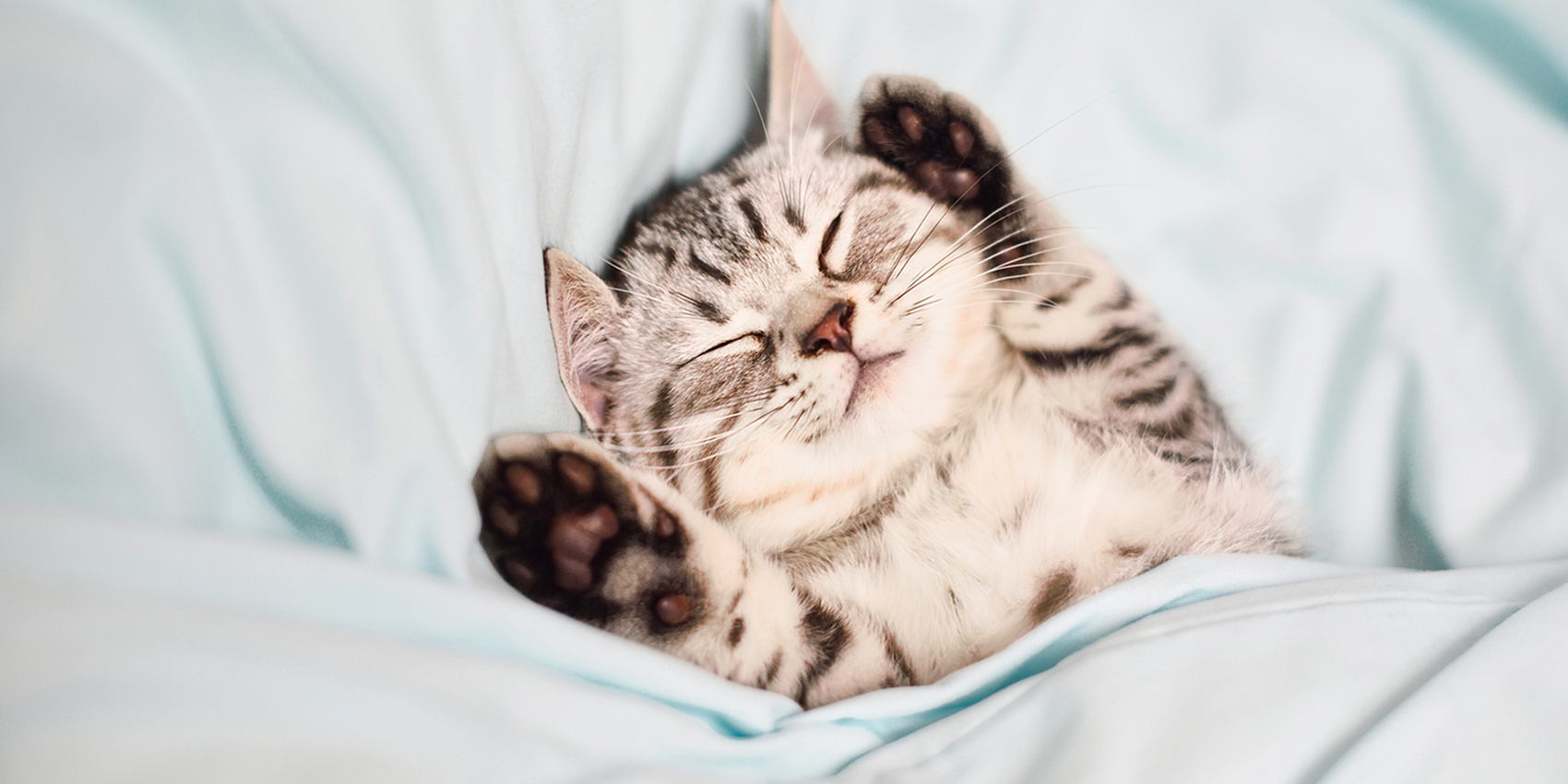 An extra blanket on the bed feels like a great luxury