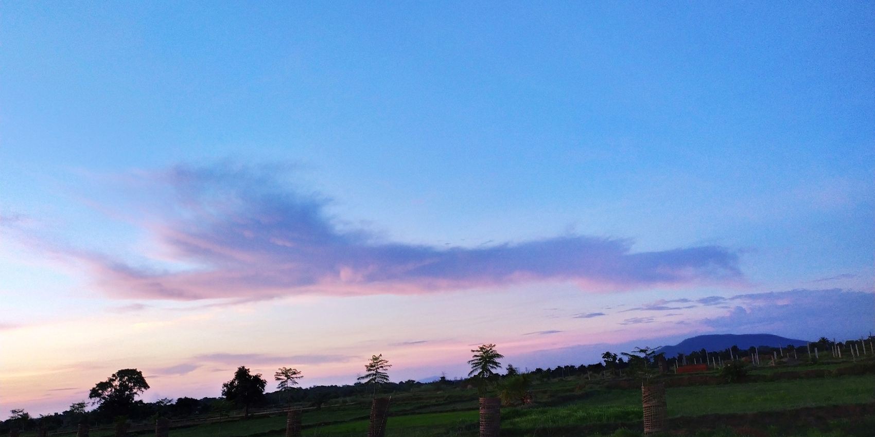 Calm moments reveal hidden beauty in the everyday world around us