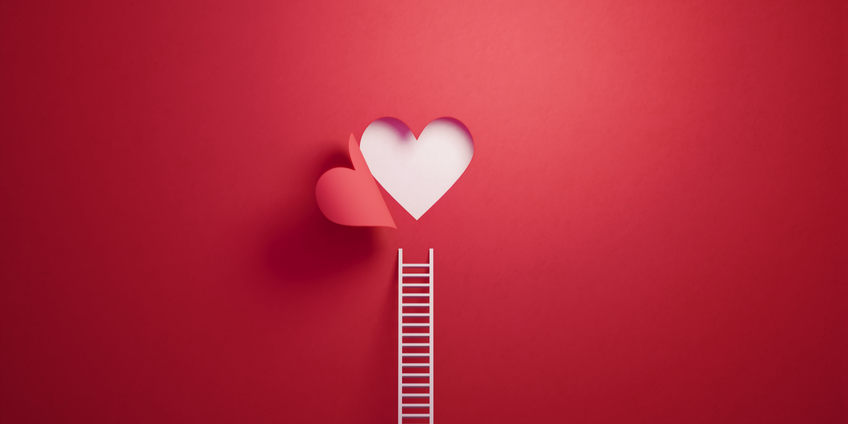 「2025-02-14」Love is the bridge between you and everything.美图壁纸