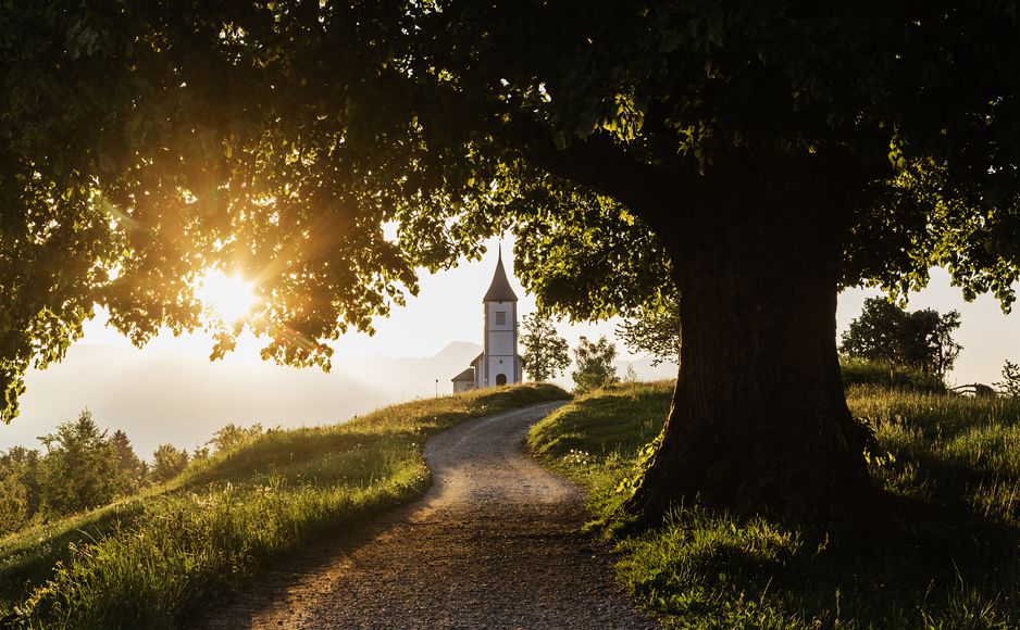 「2020-09-25」Calm, brave, discerning, not selfish.美图壁纸